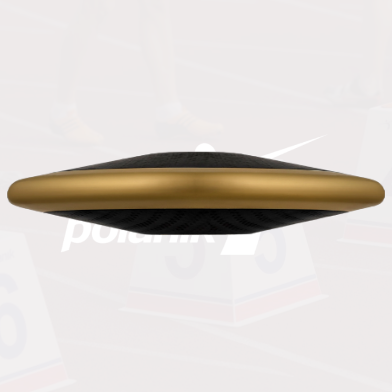 Polanik Carbon Premium Line Discuses with Central Plate