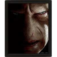 Harry Potter Framed 3D Picture