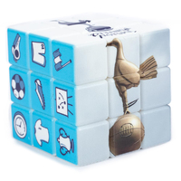 Tottenham Hotspur FC Rubiks Cube