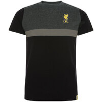 Liverpool FC Panel T Shirt Junior [Size:: 5-6 Yrs]