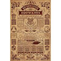 Harry Potter Poster Hogwarts Quidditch 173