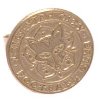 Leicester City FC 9ct Gold Earring