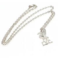 Liverpool FC Silver Plated Pendant & Chain LB