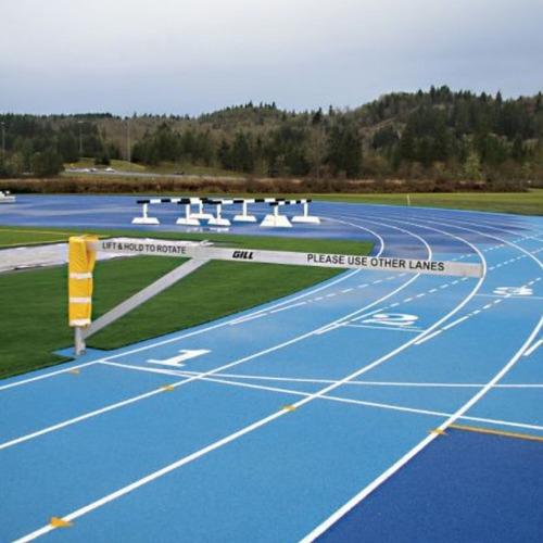 Gill 3-Lane Track Gate with Ground Sleeve