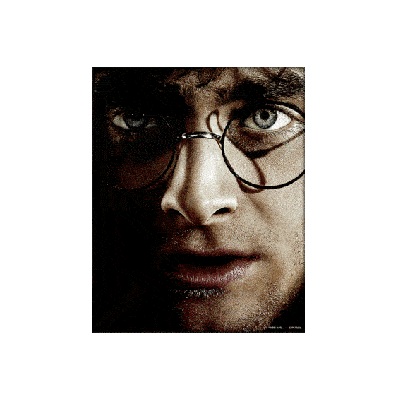 Harry Potter Framed 3D Picture